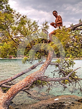 Man sitting on tree - Phaselis bay - Ã‡amyuva, Kemer, coast and beaches of Turkey