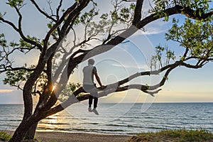 Man sitting on the tree watching sunset over the sea, enjoying a peaceful moment