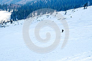 Man ski free ride downhill at winter season in shadow on beautiful sunny day