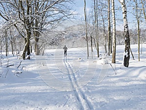 Man skier fugure on ski run. Cross-country skiing at winter field landscape with snowy trees near village Cvikov in