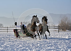 Man with sledge pulled by horses