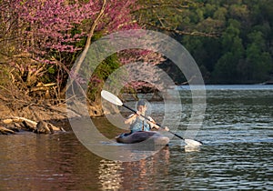 Man in small white water kayak coming towards the viewer on lake