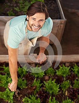 Man, smile and garden with plants in greenhouse for growth, development and sustainability from high angle. Male person