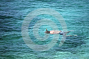 Man snorkeling in sea