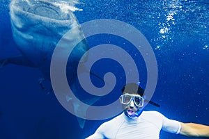 Man snorkeling with whale shark