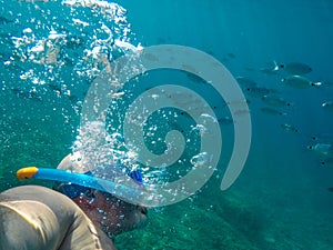 A man snorkling under the water with bubbles and lot of fish photo