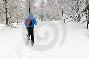 Man with snowshoes