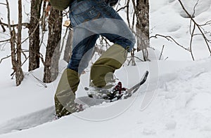 Man in snowshoes in the snow in the forest.