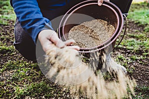 Man sowing lawn seed to the withered lawn