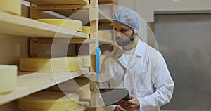 Man specialist in white uniform checking cheeses quality working at producing farm. Male farmer at own dairy factory.