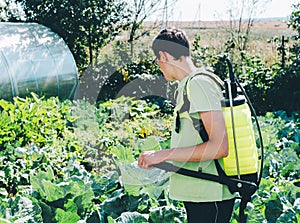 Man Spraying A Garden