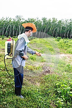 A man is spraying herbicide