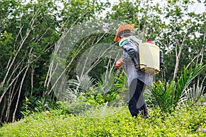 A man is spraying herbicide photo