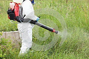 Man spraying insects outdoors. Pest control.