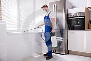 Man Spraying Pesticide On Windowsill