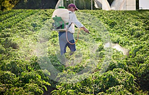 Man spraying vegetables