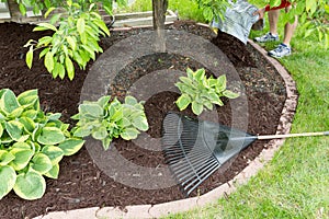 Man spreading mulch in the garden