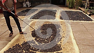 A man spreading pile of incense cones with rake on floor
