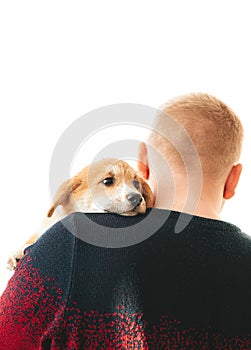 Man standing back to camera and carrying a adorable puppy dog on shoulder isolated on white background