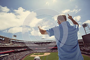 Man standing and cheering at a baseball game