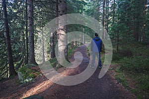 Man standing at the forest path