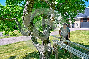 man standing in garden cutting planks with circle saw