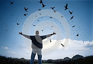 a man standing in the middle of a field with his arms outstretched with a flock of birds