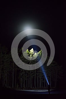 Man standing outdoor at night shining with flashlight up the sky and at trees in forest