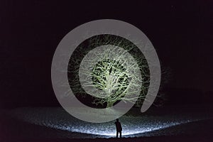 Man standing outdoors at night in Sweden Scandinavia winter landscape shining with flashlight at tree and sky