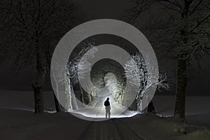 Man standing outdoors at night in tree alley shining with flashlight