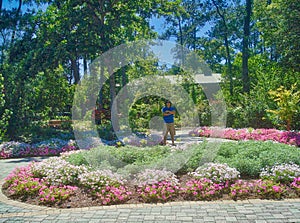 man standing in park at Mercer Arboretum.