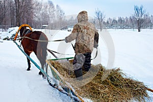 Man standing rides in a sleigh on a horse