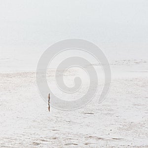 A man standing on Tankerton Beach photo