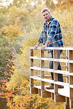 Man Standing On Wooden Balcony in Woodland