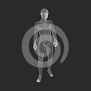 Man Stands on his Feet.3D Model of Man. Geometric Design. 3d Polygonal Covering Skin. Human Body Wire Model. Vector Illustration