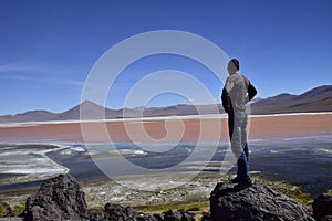 The man on the stone looks at Laguna Colorada, on Eduardo Avaroa National Reserve, Bolivia at 4300 m above sea level