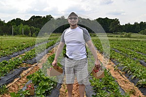 Man stood in strawberry fields photo