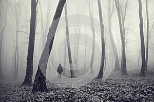 Man in strange mysterious forest with fog