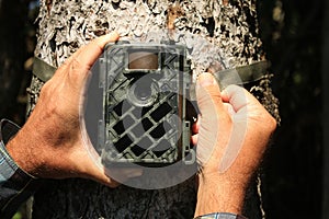 Man Straps Trail Camera Cam to Tree in the Woods