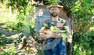 man in straw hat hold fresh ripe vegetables. natural food