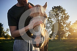 Man stroking head of therapy horse
