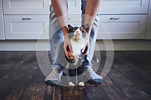 Man stroking his mottled cat at home