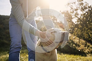 Man stroking his old dog