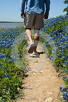 Man strolling through a field of bluebonnets