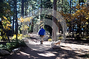 Man Strolls Path at North Rim of Grand Canyon