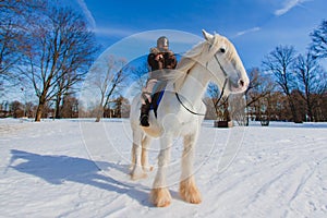 Man in suit of ancient warrior riding big white horse