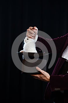 Man in suit pulling a rabbit out of the topper hat. close-up.