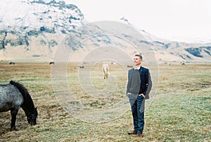 Man in a suit stands in a pasture among grazing horses. Iceland