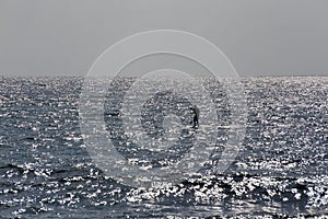 Man on the surfboard on the sea in sunset silver hotspots.