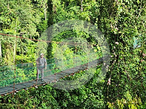 Man at suspension bridge in tree top canopy walkway in Danum rain forest Lahad datu